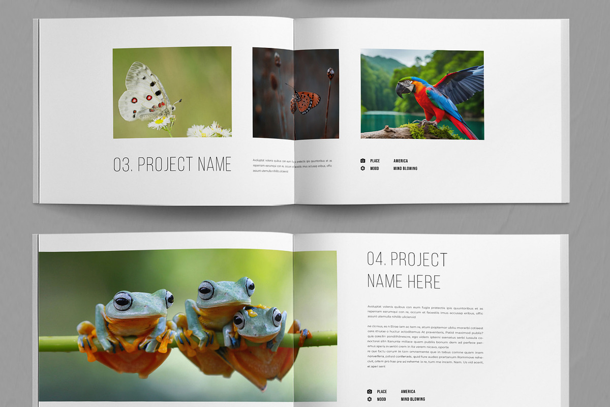Botanical Magazine, a Magazine Template by ContestDesign (Photo 4 of 5)