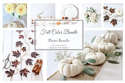 Fall Color Bundle Stock Photos, a Background Photo by SunnyTangerine Stock (Thumbnail 1 of 10)