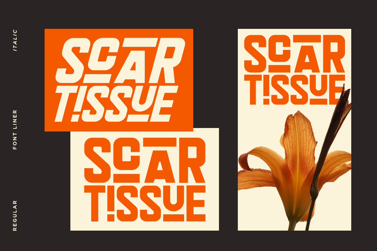 Groomy - Bold Display Font, a Sans Serif Font by Font Liner (Photo 3 of 13)