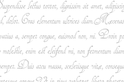 1610 Cancellaresca, a Script Font by GLC Foundry (Thumbnail 4 of 4)