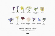 Flower Dust Overlays & Paper Texture, a Texture Graphic by Purple (Thumbnail 8 of 15)
