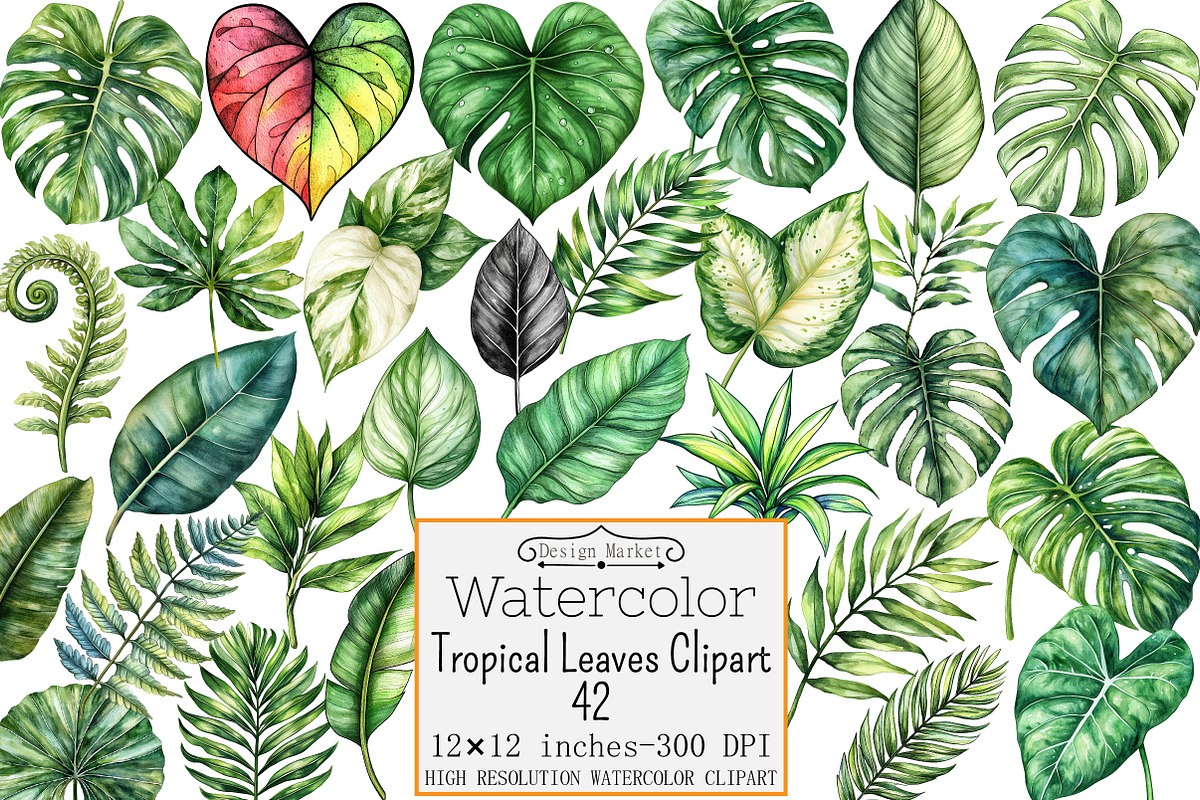 Tropical Leaves Clipart, a Seasonal Illustration by Design Market (Photo 1 of 4)