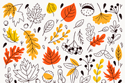 Autumn Clipart Illustrations, a Seasonal Illustration by Anna Studio (Thumbnail 10 of 11)
