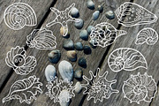Marine Vector Art Set 120 Sea Life, a Decorative Illustration by Neliakott ♥ (Thumbnail 11 of 12)