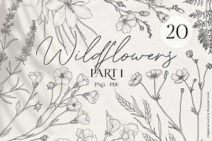 Wildflower Clipart Pack-Part 1