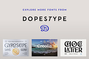 Paradisian Serif, a Serif Font by Dopestype (Thumbnail 12 of 12)