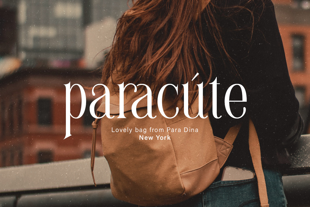 Brilliantly - A Stylish Serif, a Serif Font by Letterhend Studio (Photo 6 of 12)