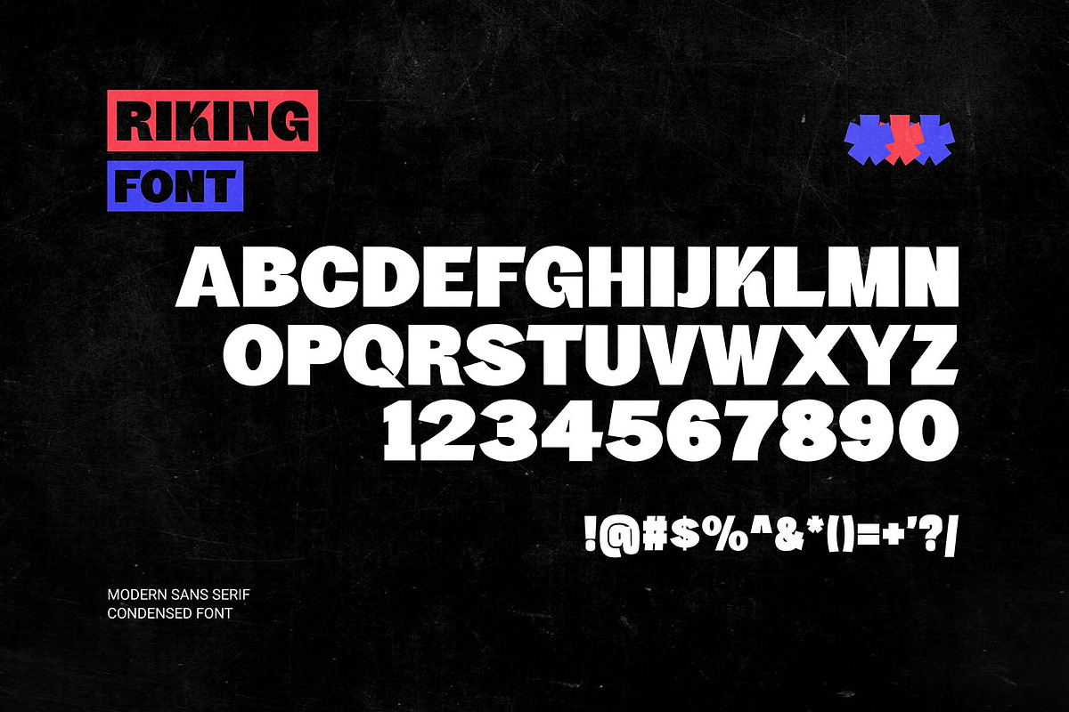 Riking Modern Sans Serif Font, a Sans Serif Font by Graphicxell (Photo 10 of 10)