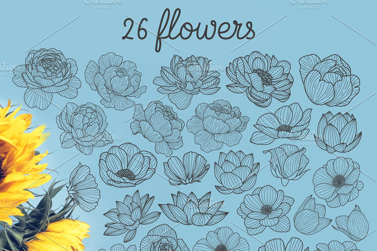 Hand drawn floral elements, a Decorative Illustration by Wander Designs (Photo 7 of 8)