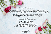 Antonette - Handwritten Font, a Script Font by albi.letters (Thumbnail 5 of 6)
