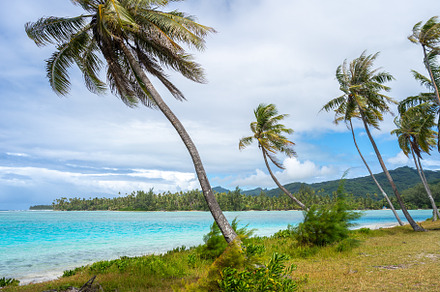 White sand beach at Coral Garden, Huahine, French Polynesia, wit