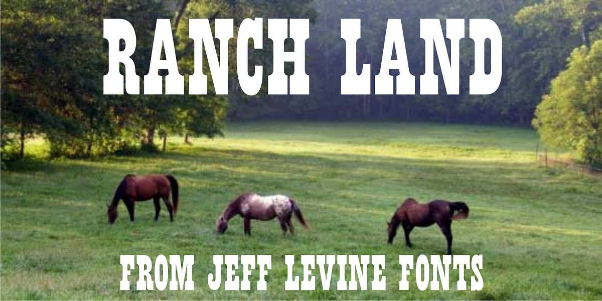 Ranch Land JNL, a Slab Serif Font by Jeff Levine Fonts