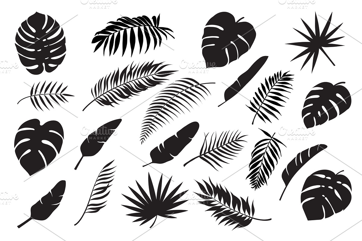 Palm leaves silhouettes. Tropical, a Decorative Illustration by Frogella