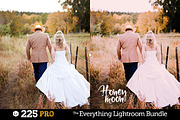 225 Lightroom Presets Bundle, an Action Add-On by Presetrain Co. (Thumbnail 7 of 13)