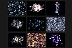 Iridescent Bokeh Photoshop Overlays