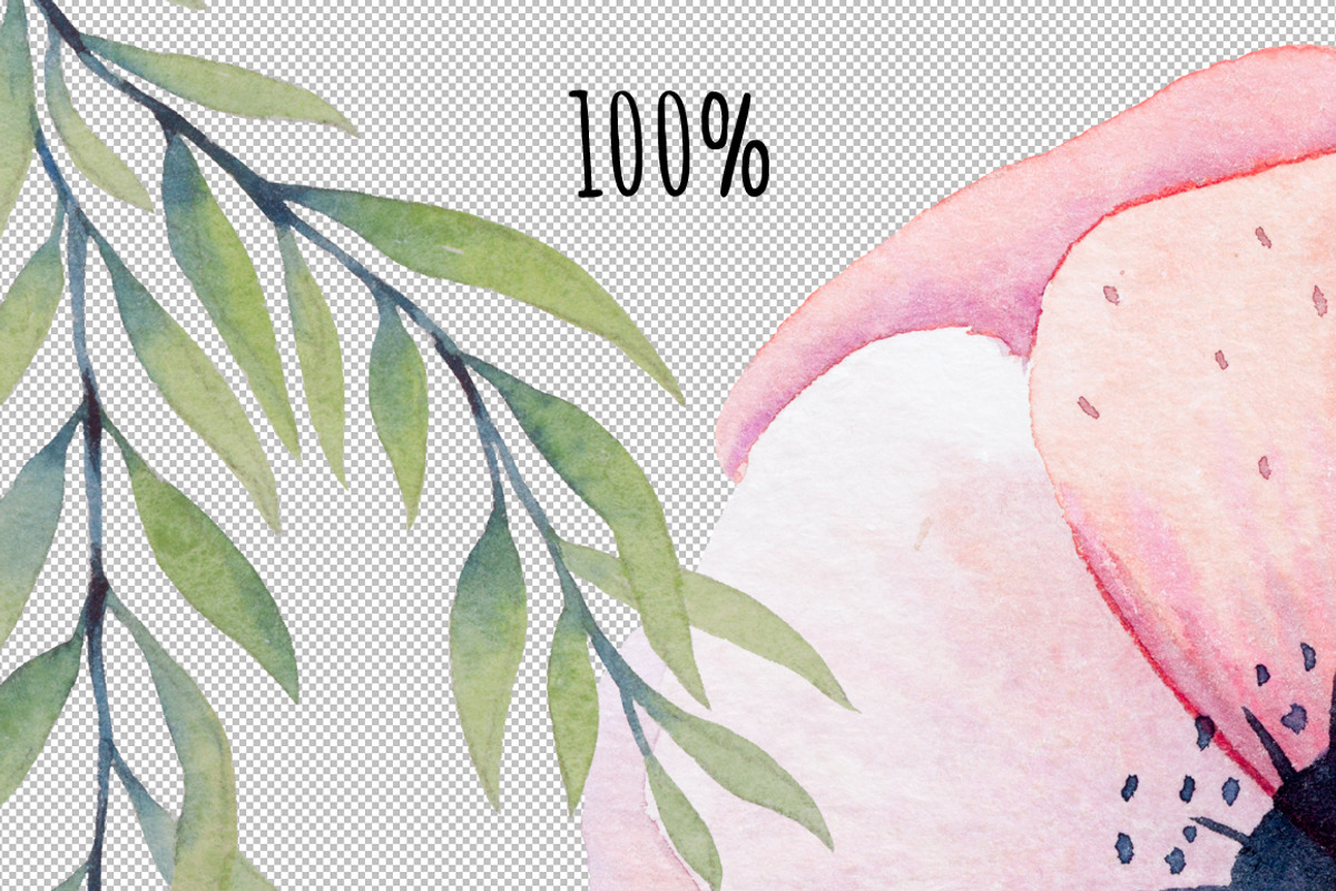 Watercolor floral design elements, an Illustration by rosypatterns (Photo 10 of 10)