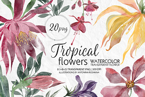 Set of transparent watercolor flower