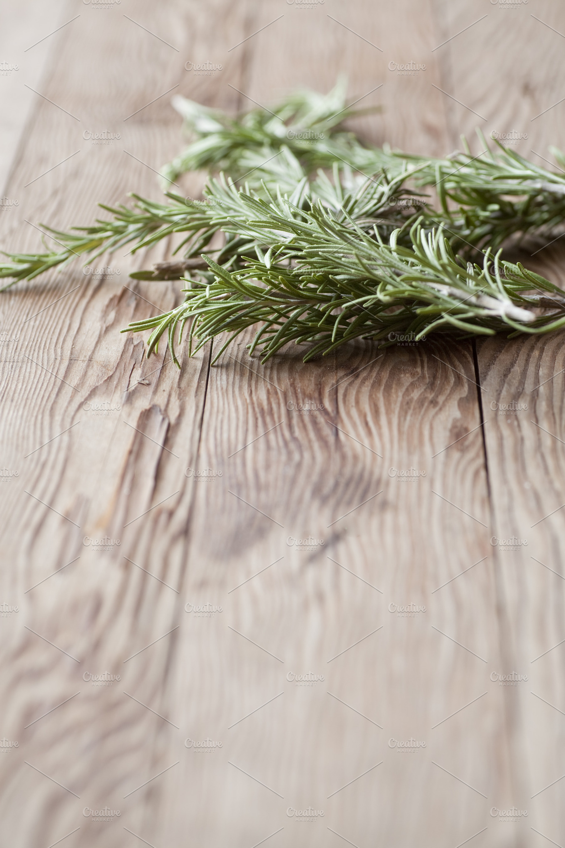 Bunch Of Rosemary