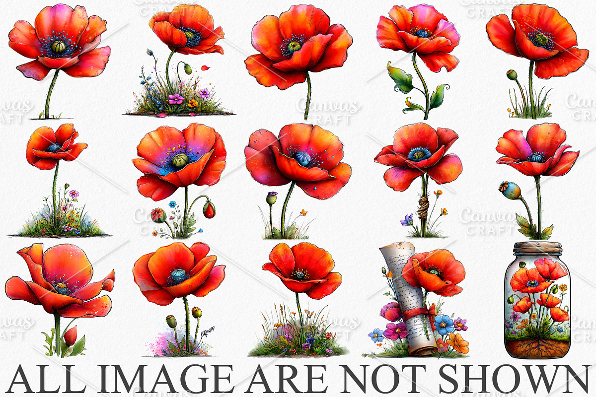Spring Meadow Poppies Clipart Bundle, an Illustration by Canvas Craft (Photo 3 of 7)