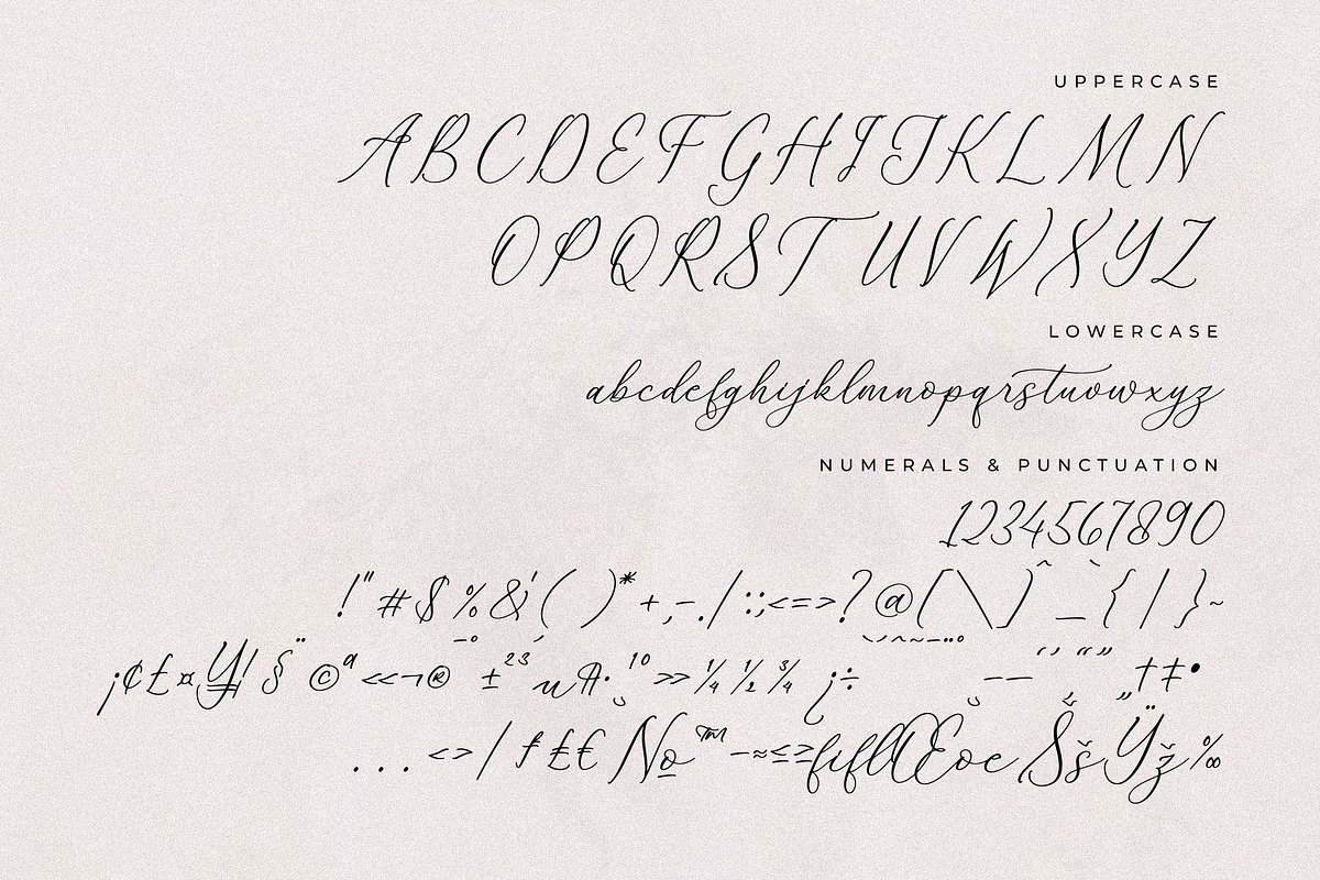 Whitley Pattrycia Luxury Calligraphy, a Script Font by Storytype Studio (Photo 11 of 12)