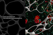 Neuro - Neurographic Textures & PNGs, a Texture Graphic by saintricchi (Thumbnail 2 of 7)