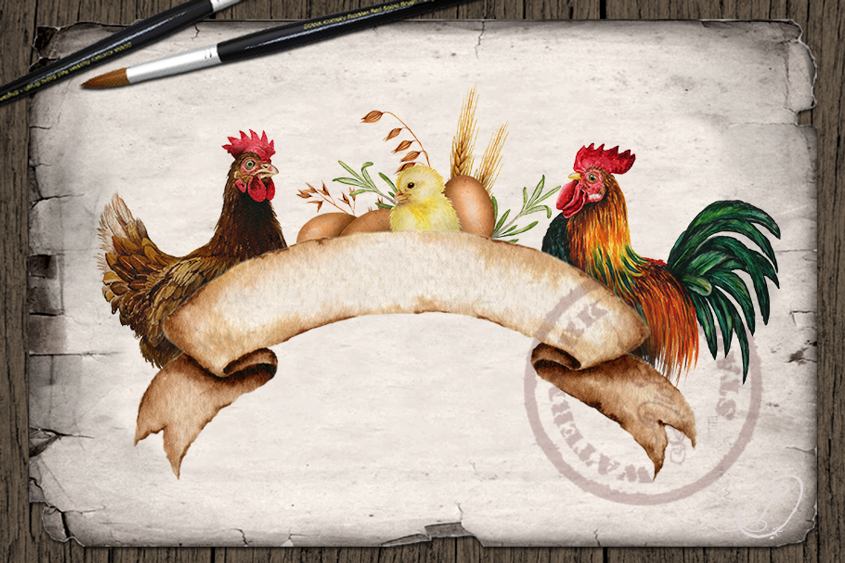 Farm Chicken Watercolor Illustration, a Decorative Illustration by DioFlow (Photo 6 of 7)