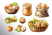 Huzelnuts. Watercolor collection, a Food Illustration by Daria Ustiugova (Thumbnail 17 of 23)