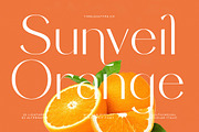 Sunveil Orange Modern Display Font, a Sans Serif Font by timelesstype.co (Thumbnail 1 of 20)