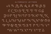 ROAST - Decorative Display Serif, a Serif Font by Konstantine Studio (Thumbnail 4 of 10)