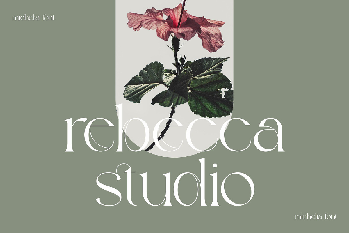 Michelia - Modern & Aesthetic, a Serif Font by ErgibiStudio (Photo 3 of 12)