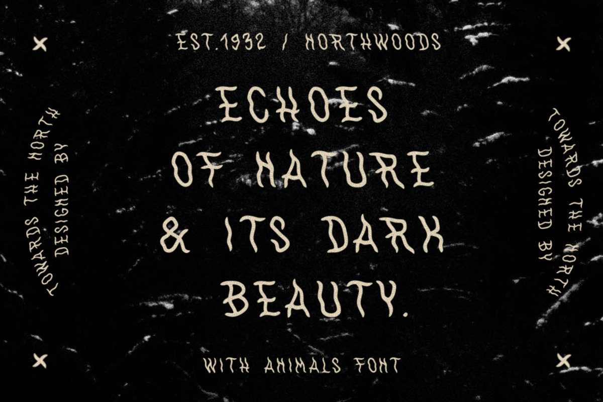 WithAnimals Font, a Handwritten Font by Towards The North (Photo 8 of 8)