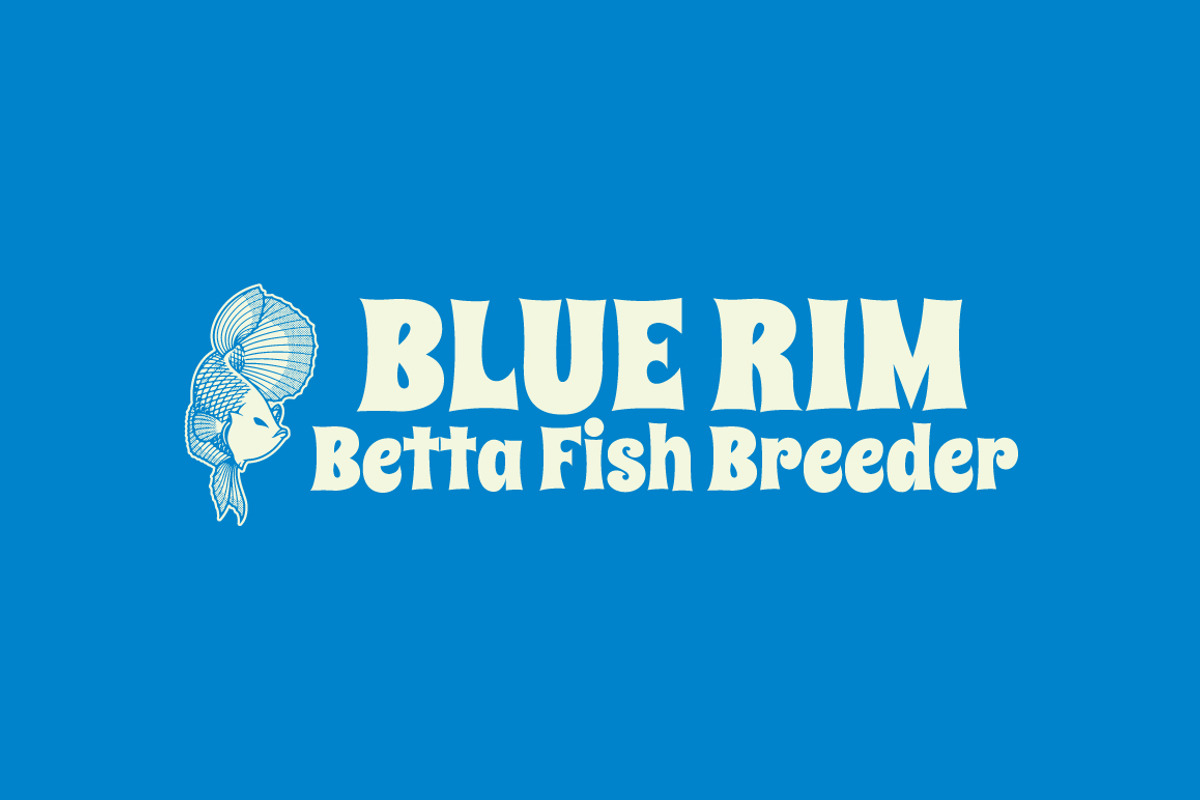 Blue Rim Logo Template, a Branding & Logo Template by Kreasi Malam