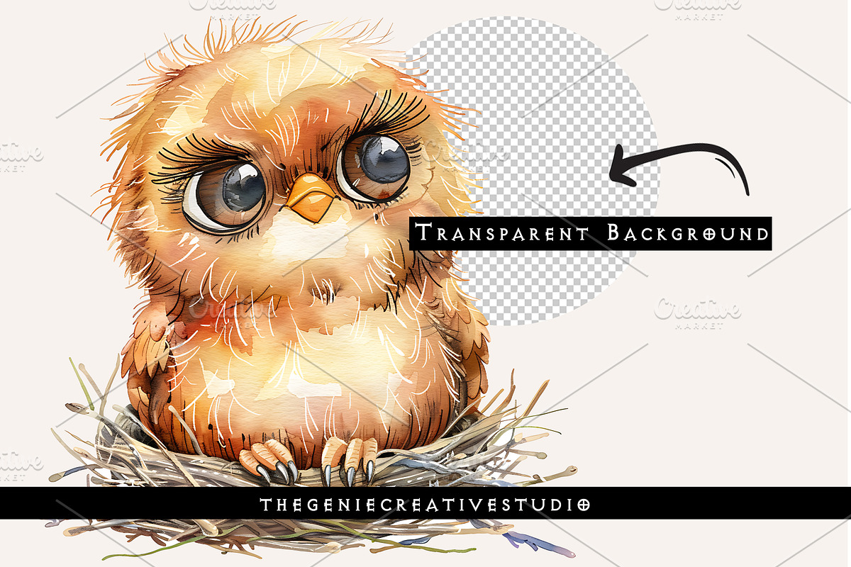 Grumpy Bird in Nest PNG Clipart, an Animal Illustration by Geniecreativestudio (Photo 2 of 9)