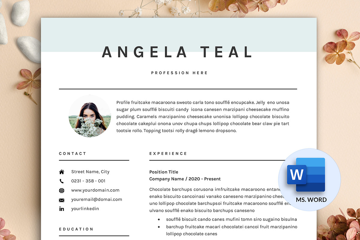 Professional Resume CV Template Word, a Resume Template by GResume (Photo 1 of 9)