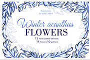 Winter acanthus Flowers, a Decorative Illustration by L- design studio (Thumbnail 1 of 7)