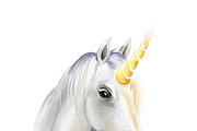 Pegasus and Unicorns 13 PSDPNG JPEG, an Animal Illustration by Dneprstock (Thumbnail 7 of 12)