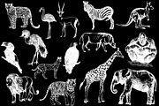 Animals, an Animal Illustration by Ecaterina Sciuchina (Thumbnail 2 of 5)