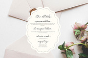 Montpellier Script, a Script Font by Nicky Laatz (Thumbnail 12 of 21)