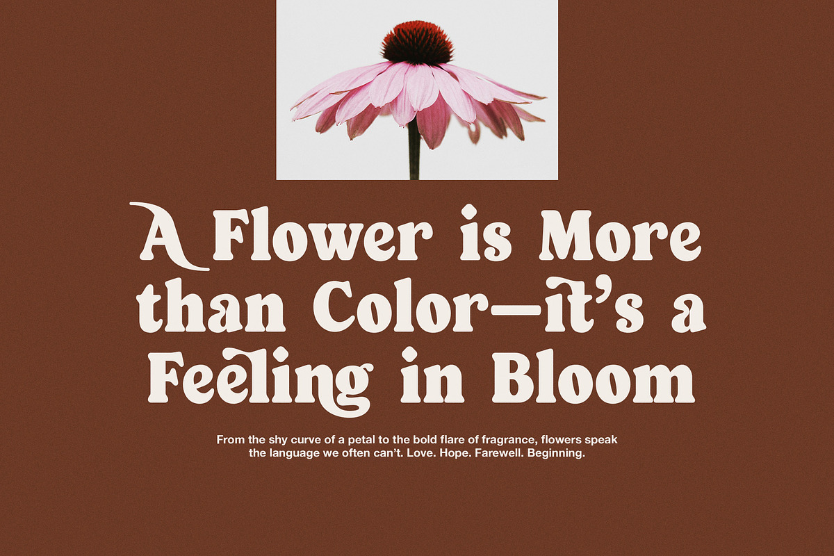 Kongo Elegant Serif Font, a Serif Font by Elegant Font (Photo 4 of 8)