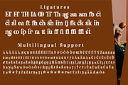 Beauty Rainira - Serif Display Font, a Serif Font by Differentialtype (Thumbnail 12 of 12)