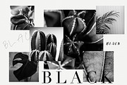 15 Green plant Insta photos, a Product Mockup by Nellaino (Thumbnail 7 of 7)