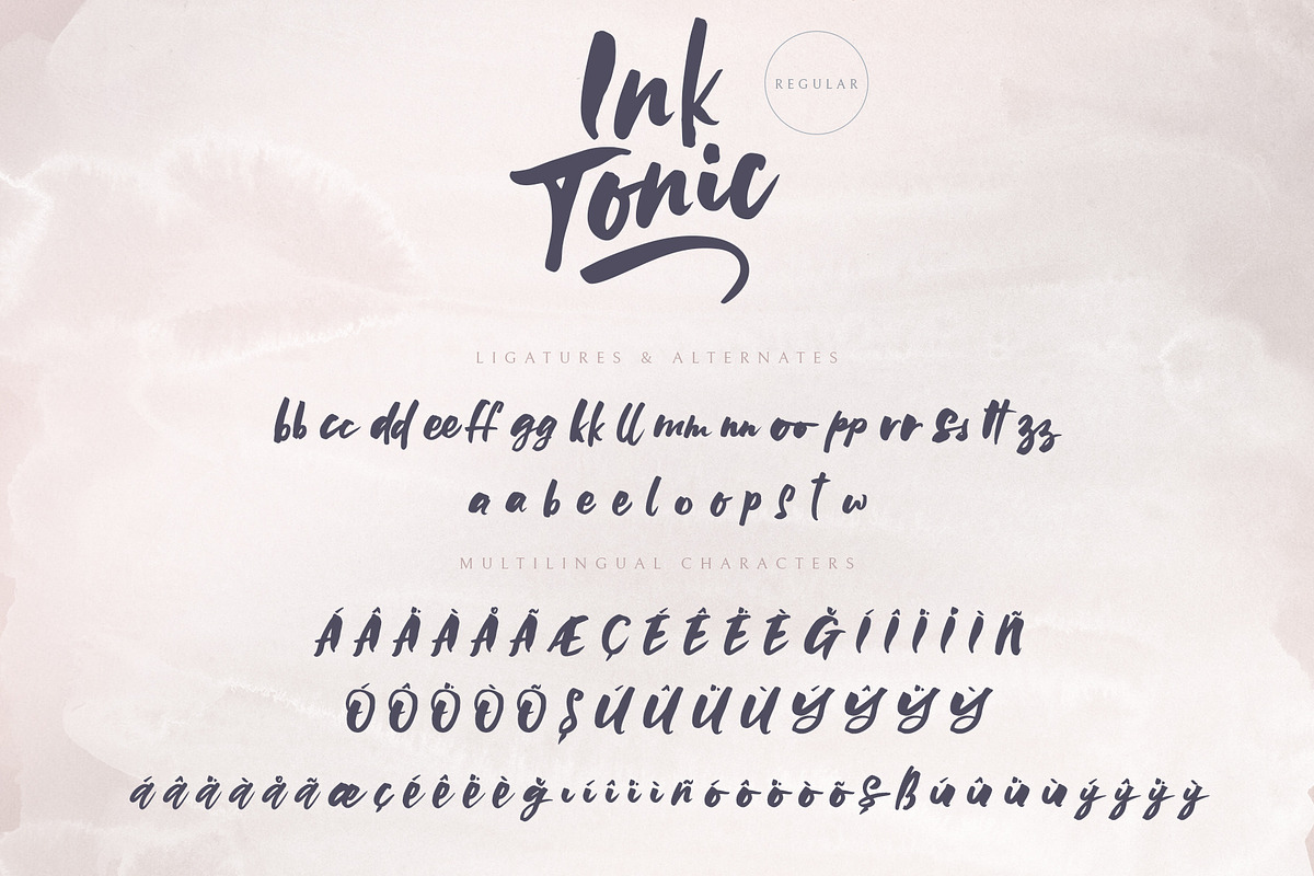 Ink Tonic | A SVG Brush Font, a Script Font by Ayca Atalay (Photo 21 of 21)