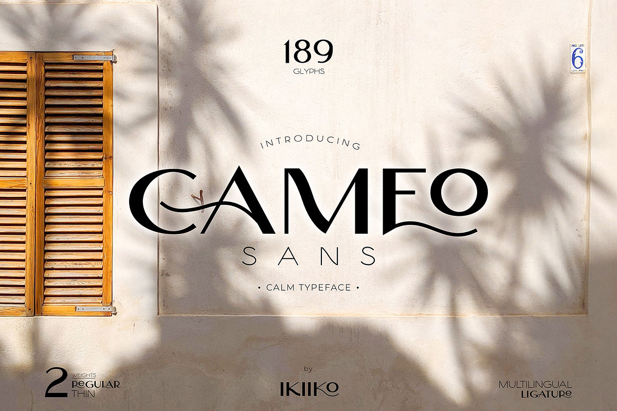 Cameo Sans Typeface, a Sans Serif Font by ikiiko (Photo 1 of 6)