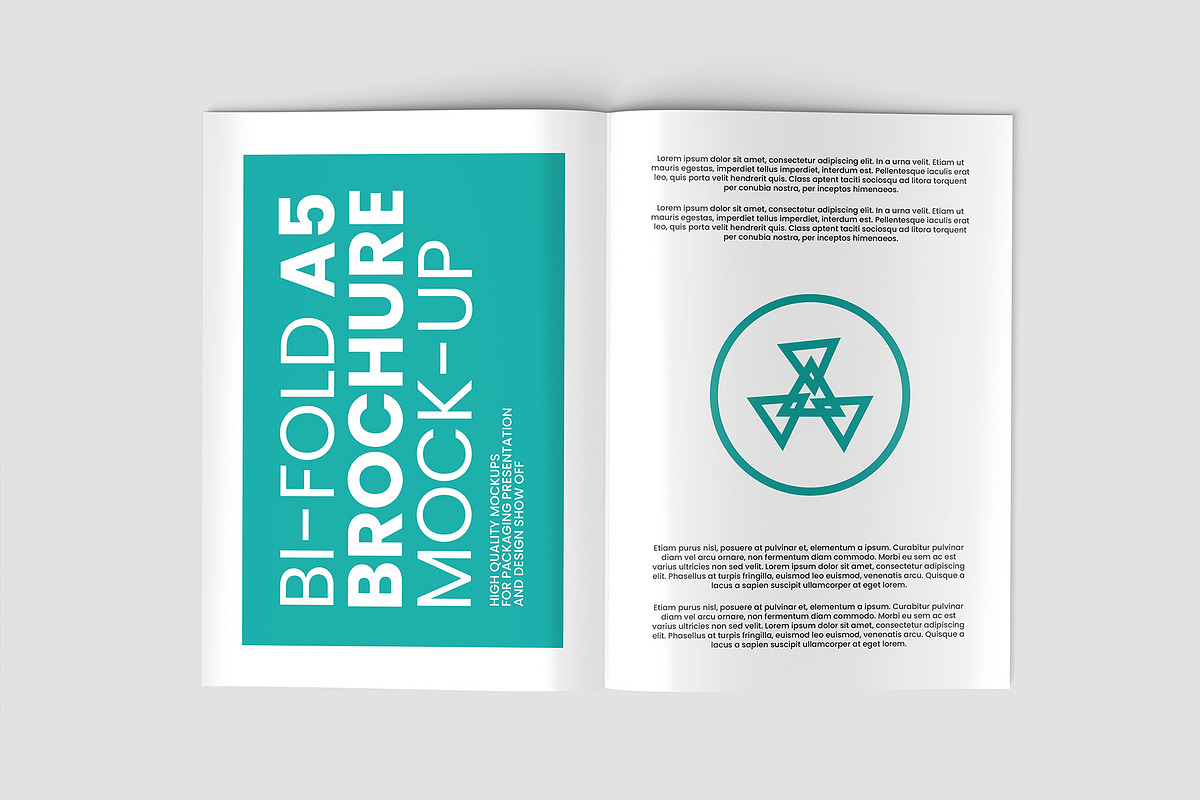 Bi-Fold A5 Brochure Mock-up, a Books & Magazine Mockup by Illusiongraphic (Photo 12 of 25)