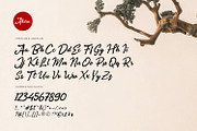 Akira - Zenbrush Script, a Script Font by ikiiko (Thumbnail 6 of 8)