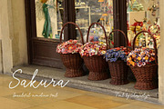Sakura Font Set, a Script Font by ShowUp! Studio (Thumbnail 3 of 8)