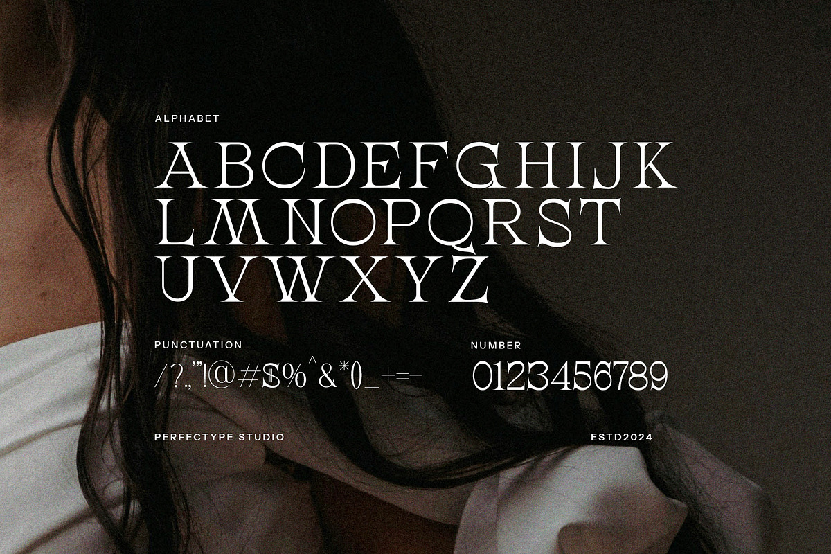 Mogist Modern Serif Font, a Serif Font by Perfectype (Photo 8 of 8)