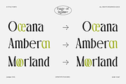Buccario - Elegant Serif Font, a Serif Font by Zarma Type (Thumbnail 8 of 10)
