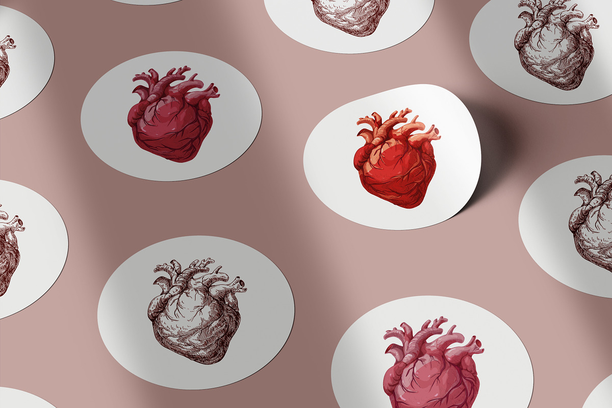 Realistic heart, real human organ, a Healthcare Illustration by Good Studio (Photo 4 of 6)
