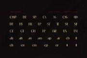 Casper Roomer Elegant Serif Font, a Serif Font by Perfectype (Thumbnail 8 of 8)